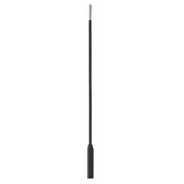 Extender Electrode