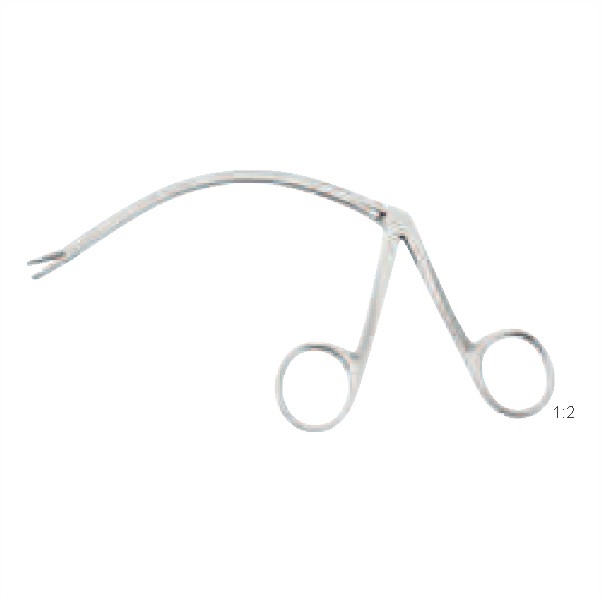Tendon holding forceps