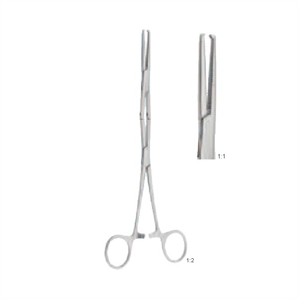 Tendon holding forceps