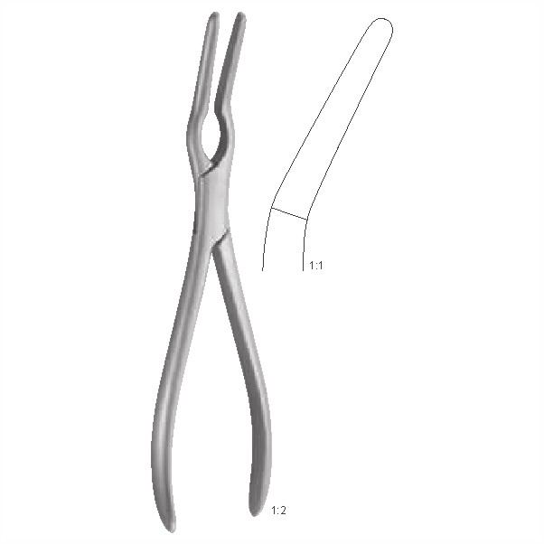Septum forceps